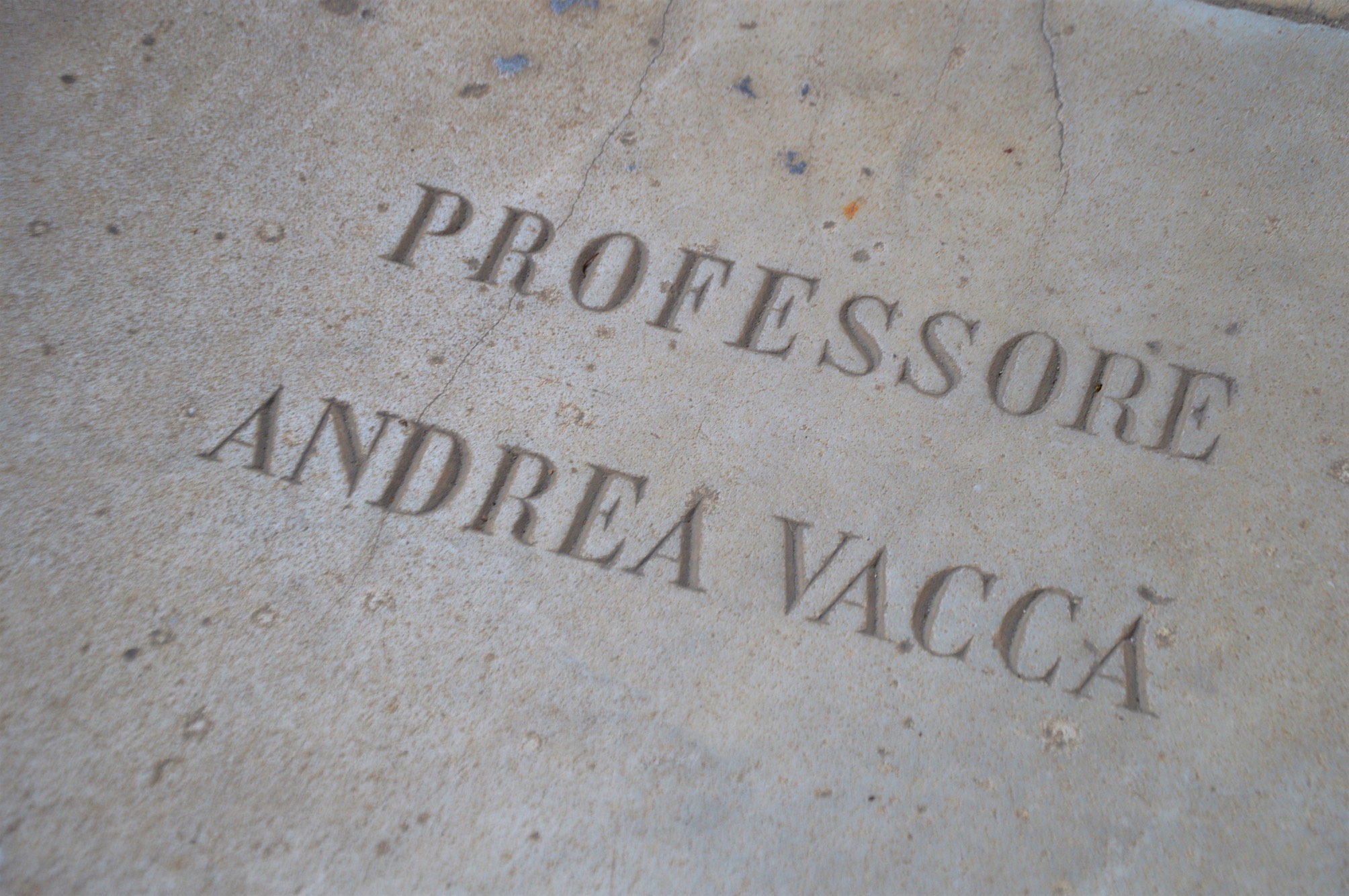 andrea Vaccà Berlinghieri 03.jpg